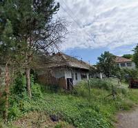 A family house in Nenince surrounded by greenery with a fenced garden.