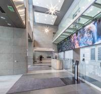 A modern entrance hall with a reception and lighting in offices.