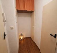 A narrow hallway in a one-room apartment with a wooden decor floor and a lantern.