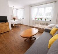 Living area in a studio apartment with a sofa, table, and wood-patterned flooring.