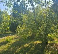 The garden of the cottage in Úľany nad Žitavou with a lawn and trees illuminated by the sun.