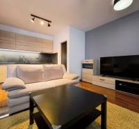 Living room with wood-patterned flooring, a sofa, and a television in a two-room apartment.