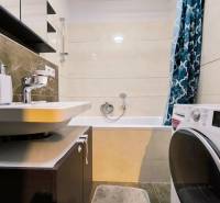 Bathroom with a shower bath, sink, and washing machine in a 2-room apartment.