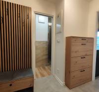 Interior of a 1-room apartment with a shoe cabinet, coat rack, and floor with wooden decor.