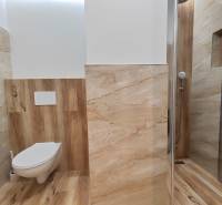 A bathroom in a studio apartment with a wooden decor floor and a shower corner.