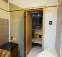 Sauna and bathroom, paneled walls, 4-room apartment.