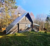 chata na predaj, drevenica, rekreačná nehnuteľnosť, výhľad na jazero, pri lese, tiché prostredie, súkromie, jesenná príroda.