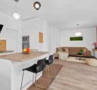 Kitchen and living room with an island, wooden decor flooring, 3-room apartment.