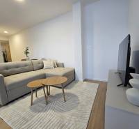 Living room with a sofa and a television, 3-room apartment with wood-patterned flooring.