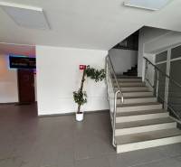 Staircase in offices with metal railing and flowerpot.