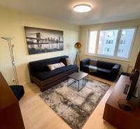 Living room with wood-patterned flooring, sofas, and a black-and-white photograph in a two-room apartment.