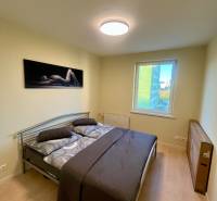 Cozy bedroom with wood-patterned flooring in a 2-room apartment, simple furnishings.