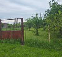 The gate and fence in the gardens of the town Dolná Streda, surrounded by green trees and grass.
