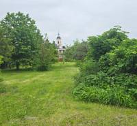 Green gardens in Dolná Streda with the church tower on the horizon.