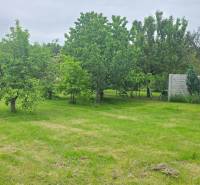 Gardens in Dolná Streda with a lawn and fruit trees, surrounded by a fence and vegetable planting.