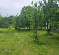 Trees and lawns in the gardens of Dolná Streda create a green oasis of tranquility.