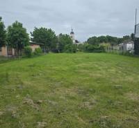 Greenery in the Gardens of Dolná Streda with a view of the church tower.