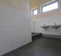 Bathroom in industrial warehouses and halls with sinks and tiles.