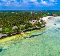 Coastal scenery with palm trees and bungalows in Kizimkazi, land - commercial.