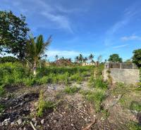 Commercial plots in Kizimkazi with lush greenery and palm trees.