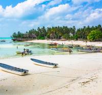 A beach with boats and palm trees in Kizimkazi, ideal for commercial properties.