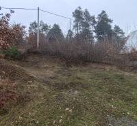 Grassy slope near the Cottage on Main Street in the village of Nová Kelča, surrounded by trees.