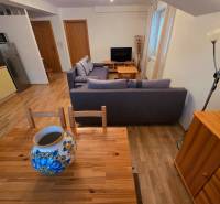 Living room in a holiday apartment with wood-patterned flooring, a sofa, and a decorative vase.