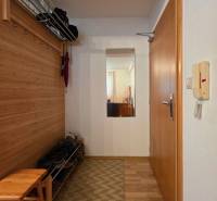 Hallway with a coat rack, mirror, and shoe cabinet, floor with wooden decor in a Recreational Apartment.