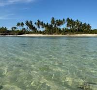 Clear water and palm trees on the beach in Kizimkazi for Land - commercial.