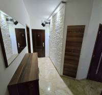 A hallway in a 3-room apartment with a decorative wall and a wardrobe, flooring with a wooden decor.