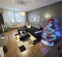 Living room in a three-room apartment with a sofa, a lighted tree, and a wooden decor floor.