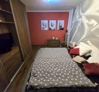 Bedroom in a 3-room apartment with wood-patterned flooring, a red wall, and artistic portraits.