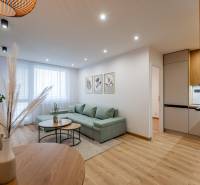 Living room in a two-room apartment with a sofa, furniture, and flooring with a wooden decor.