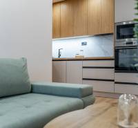 Living area of a 2-room apartment with a sofa and a kitchen unit with a wooden decor.