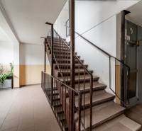 Hallway with staircase, plants, and elevator in an apartment building, Tokajícka, Košice - Dargovských hrdinov district.