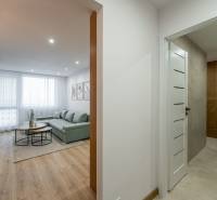 Interior of a 2-room apartment with a wood-patterned floor and a comfortable gray sofa.