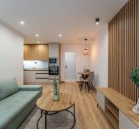 A living room with a wood-patterned floor in a 2-room apartment with a green sofa.