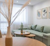 A bright living room of a two-room apartment with a green sofa and decorations on the wall.