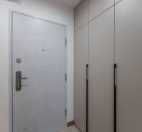Wooden entrance door and built-in wardrobe in the hallway of a 2-room apartment.