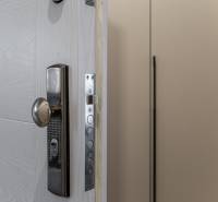 Security lock on the door of a 2-room apartment with a wooden decor floor.