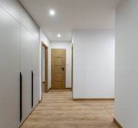 A hallway of a 3-room apartment with a wooden decor floor and a built-in wardrobe.