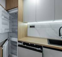 Kitchen in a 3-room apartment: open built-in refrigerator, dishwasher, marble wall, black sink.