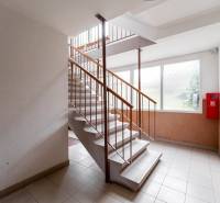 Apartment building with a staircase and windows, in front of a 3-room apartment on Michalovská Street.