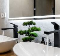 A bathroom with sinks, modern faucets, and a decorative plant in a 3-room apartment.