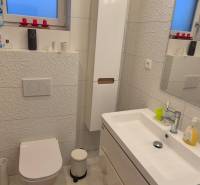 A bathroom in a family house with white tiles, a sink, and a toilet, complemented by decorations.
