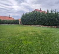 A family house in Studienka with a garden, manicured lawn, and tall hedge.