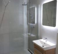 Bathroom with a sink, shower corner, and large mirror in a family house.
