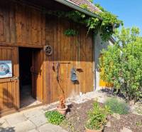 The courtyard of a family house in Dlhá nad Váhom with a wooden wall, greenery, and a target on the door.