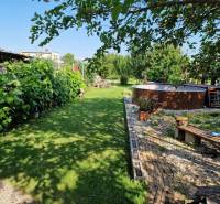 The garden of a family house in Dlhá nad Váhom with a swimming pool, bench, greenery, and a walkway.