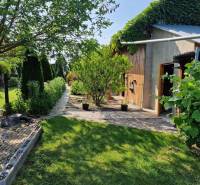 The garden of a family house in Dlhá nad Váhom with green plants and a building clad in wood.